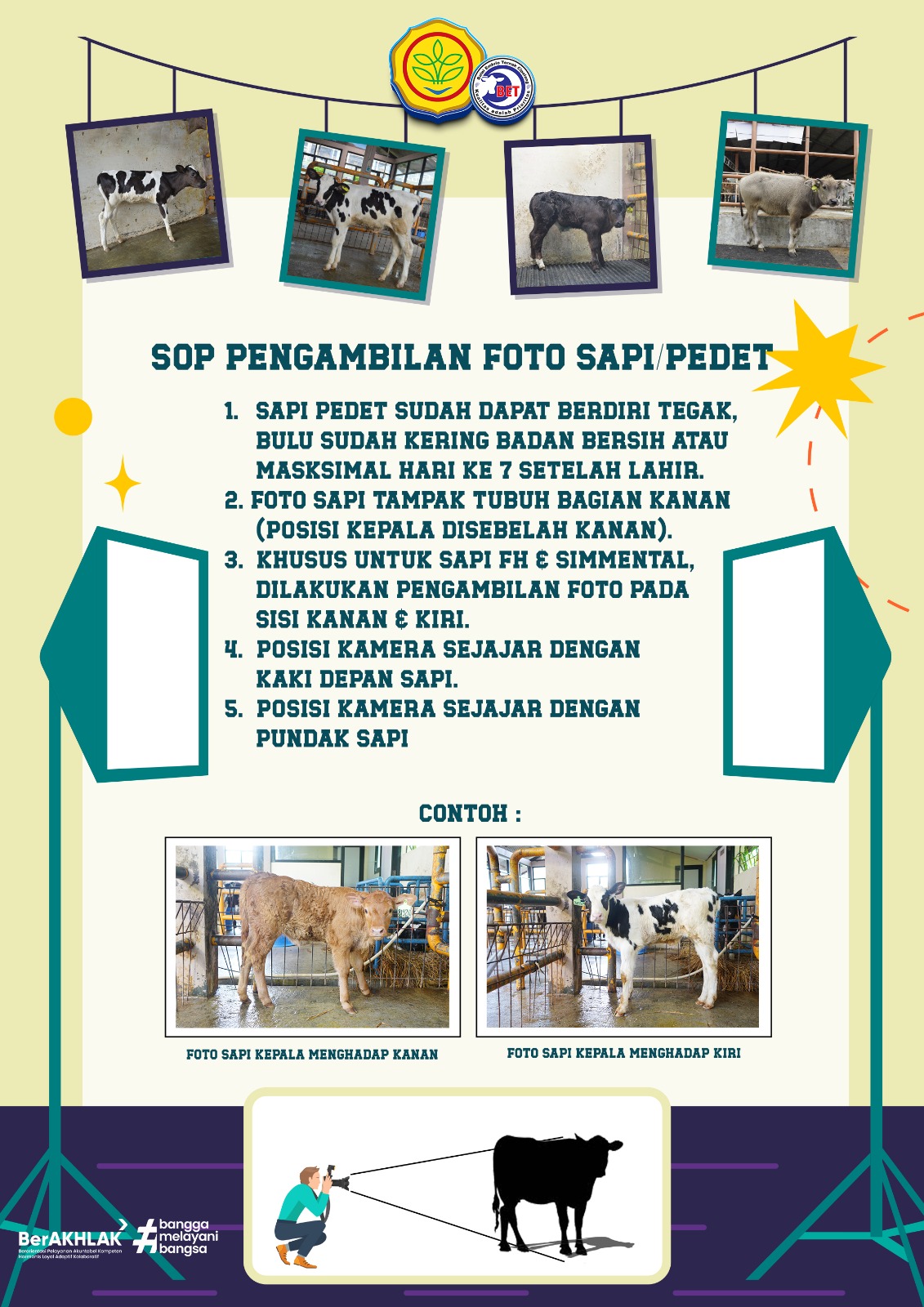 Sop Pengambilan Foto Sapi / Pedet